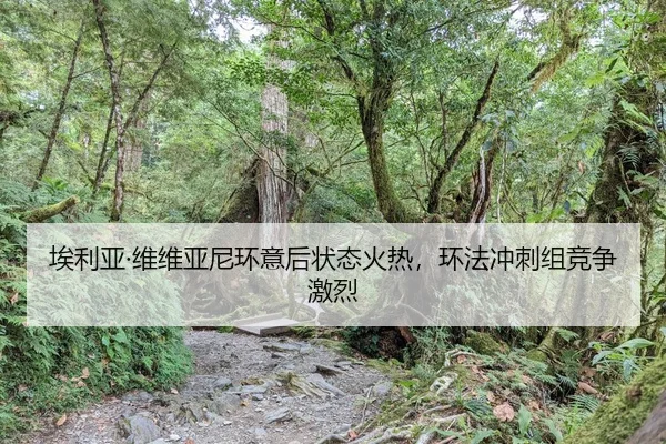 ai-li-ya-wei-wei-ya-ni-huan-yi-hou-zhuang-tai-huo-re-huan-fa-chong-ci-zu-jing-zheng-ji-lie-2-940.jpg