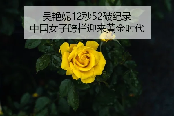 吴艳妮12秒52破纪录 中国女子跨栏迎来黄金时代